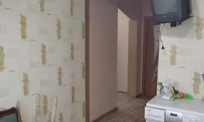 Жукова д.10