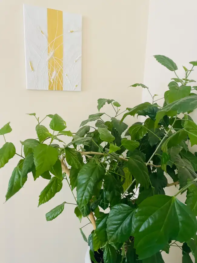 Молодежная 99