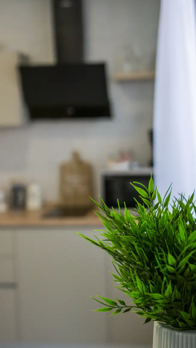 Московский 67