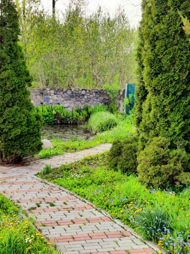 4 Медведева