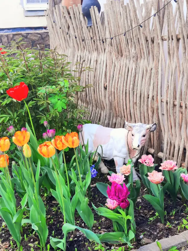 4 Медведева