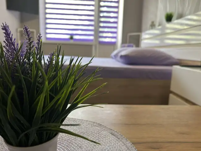 Лида, Космонавтов 16/2