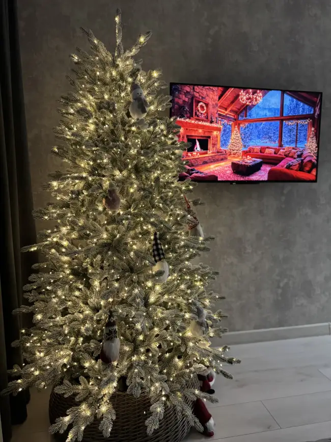 Жореса Алферова, 5