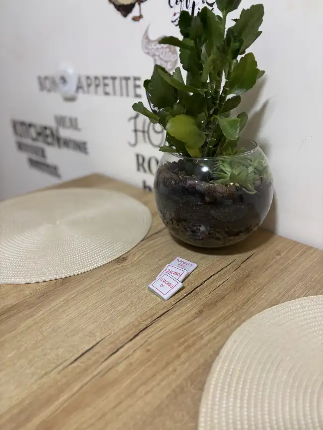 Калиновского, 9