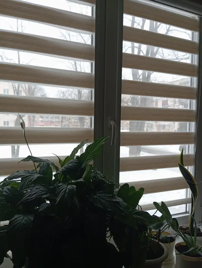 Ул. Карла Маркса 5